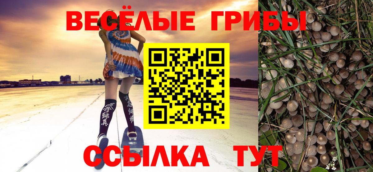 Галлюциногенные грибы мицелий  Вход с VPN  закладки  Сосновый Бор 